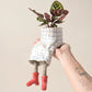 Creative Sitting Planter Collection