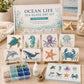 DIY Sea Glass Mosaic Craft Kit