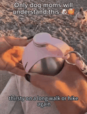 2-in-1 Foldable 304 Stainless Steel Dog Water Bottle