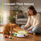 Whack A Mole Cat Mouse Toy for Cats