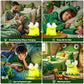 Green Frog Night Light for Kids Gifts Room Decor