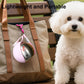 2-in-1 Foldable 304 Stainless Steel Dog Water Bottle