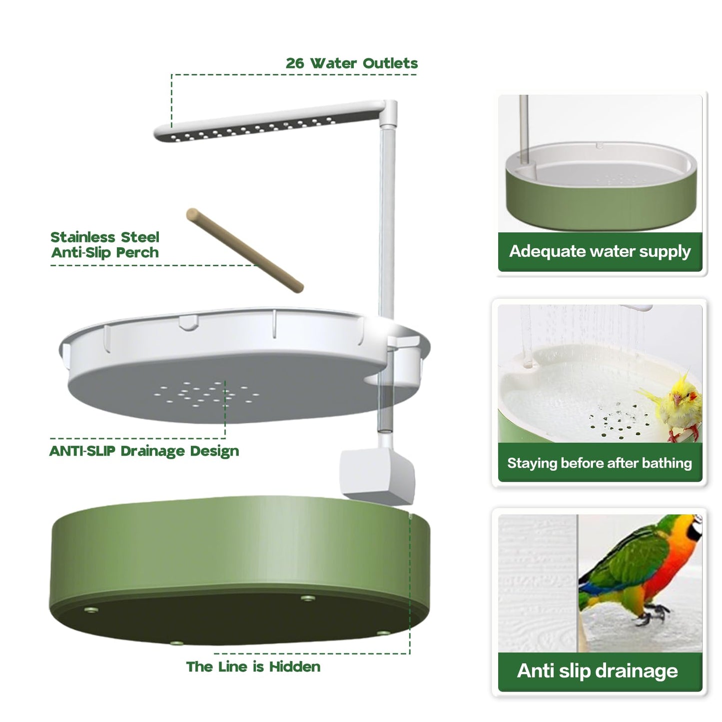 Parrot Automatic Bathing Box with USB- Adjustable Faucet
