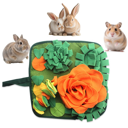 Pet Interactive Feeding Food Snuffle Mat