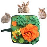 Pet Interactive Feeding Food Snuffle Mat