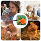 Pet Interactive Feeding Food Snuffle Mat