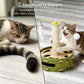 Felt Cat Puzzle Toy with Scratching Pole