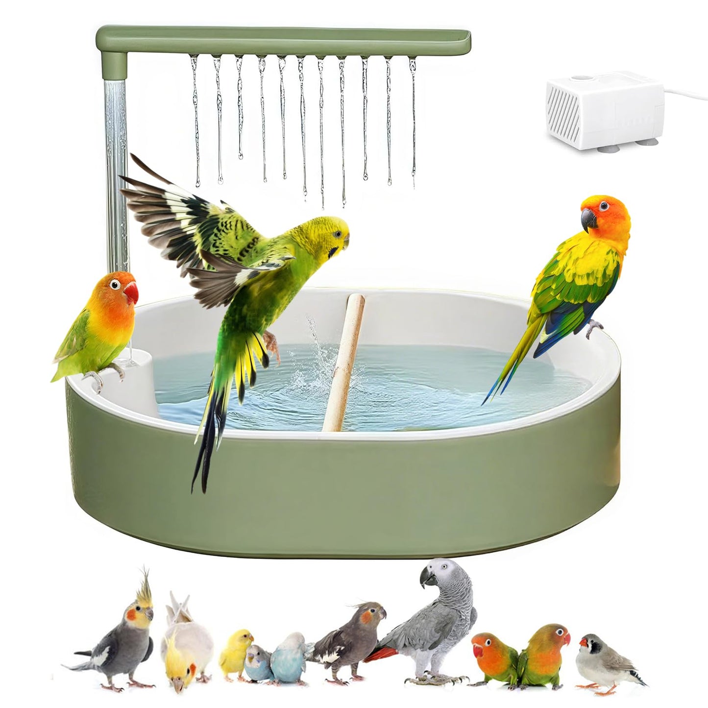 Parrot Automatic Bathing Box with USB- Adjustable Faucet