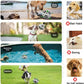 Dog Soccer Ball Toys