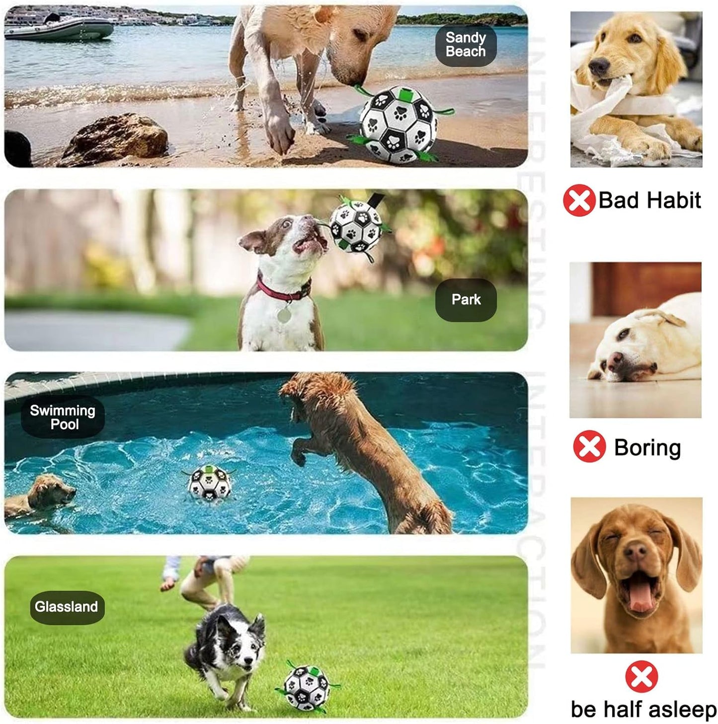 Dog Soccer Ball Toys