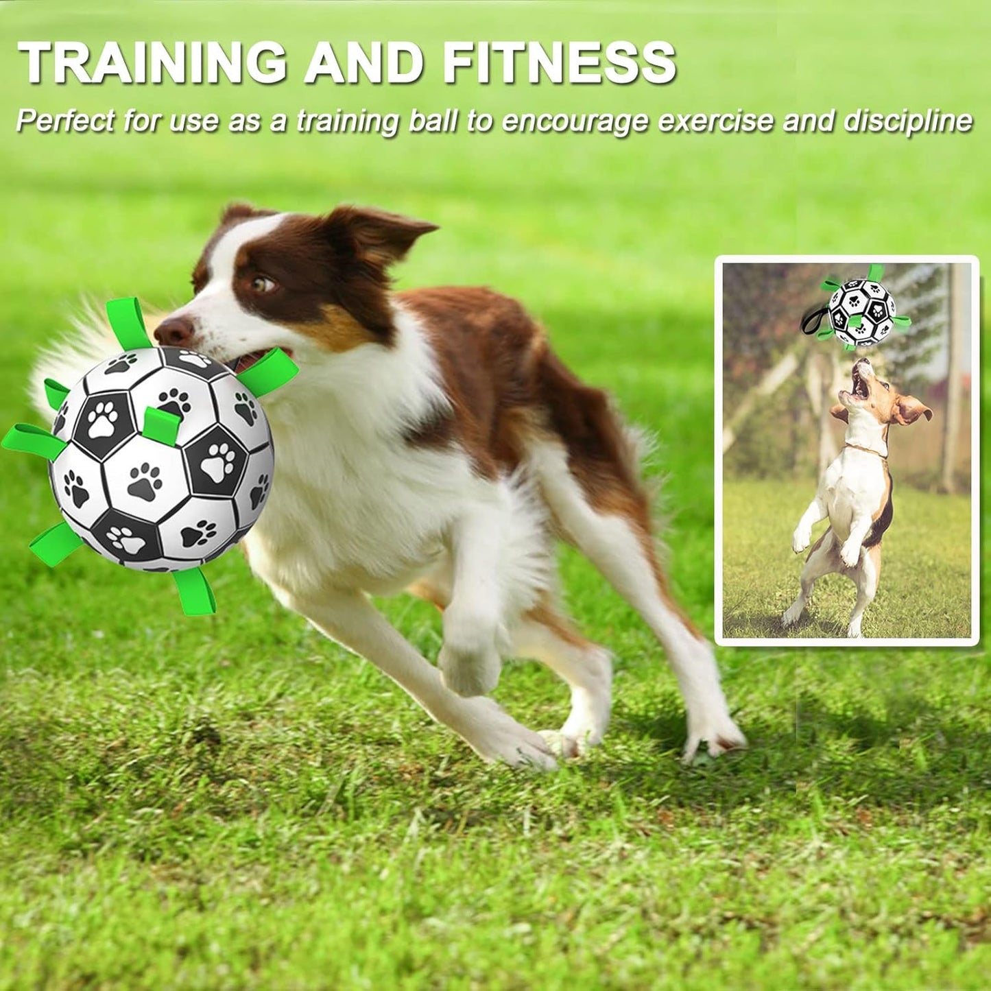 Dog Soccer Ball Toys