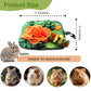Pet Interactive Feeding Food Snuffle Mat