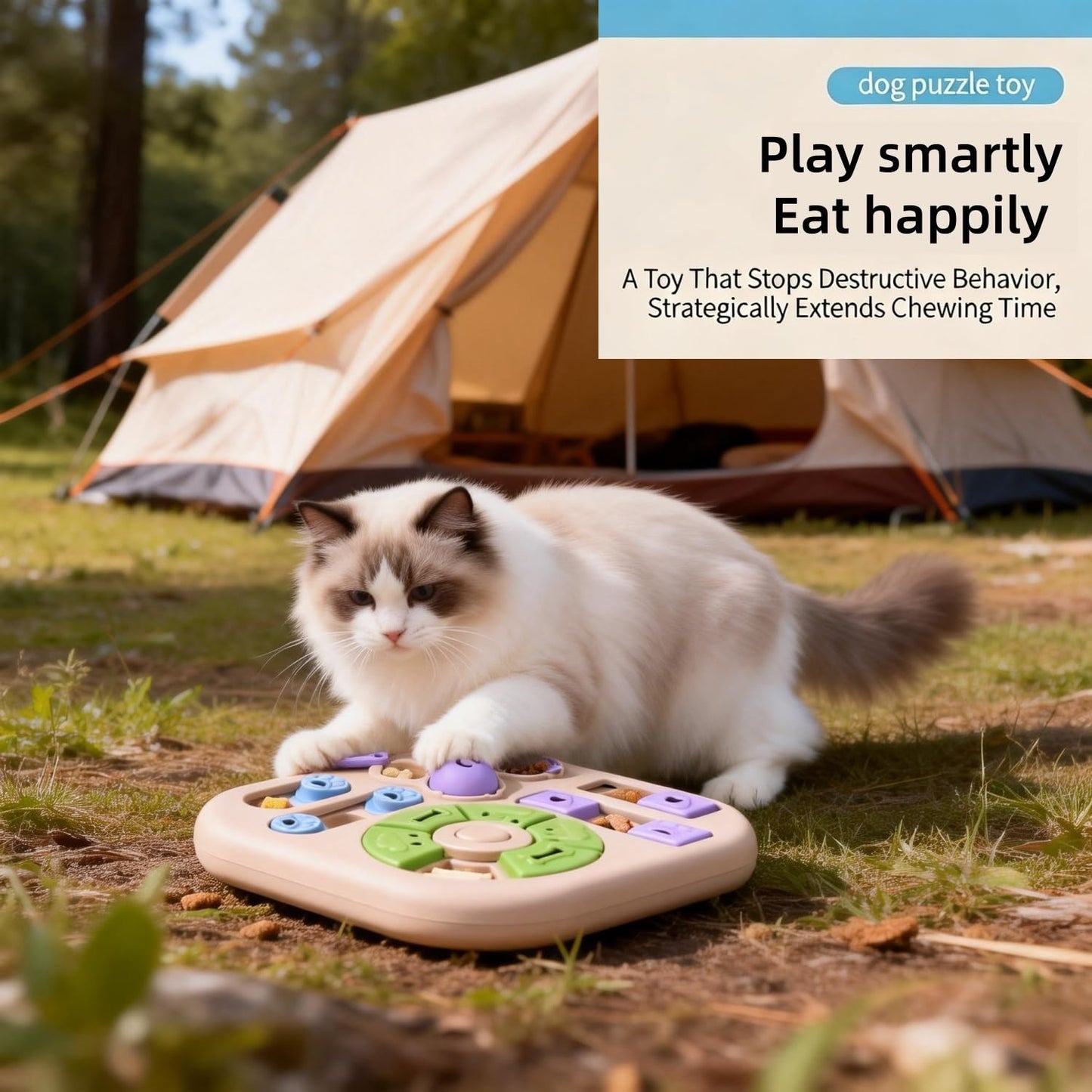 Interactive Cat Puzzle Training Bowl Feeder