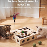 Cat Toys for Indoor Cat Nail File Box with Interactive