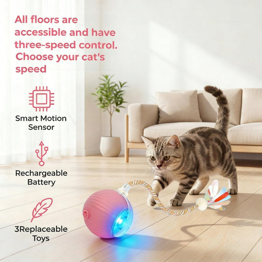 Rechargeable Smart Rolling Cat Ball