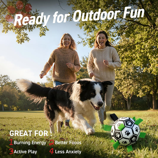 Dog Soccer Ball Toys