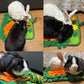 Pet Interactive Feeding Food Snuffle Mat