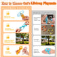 🐈6 Pcs Cat Fetch Toy Set Launcher Gun
