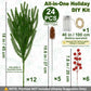 Christmas Enchanted Evergreen Pine
