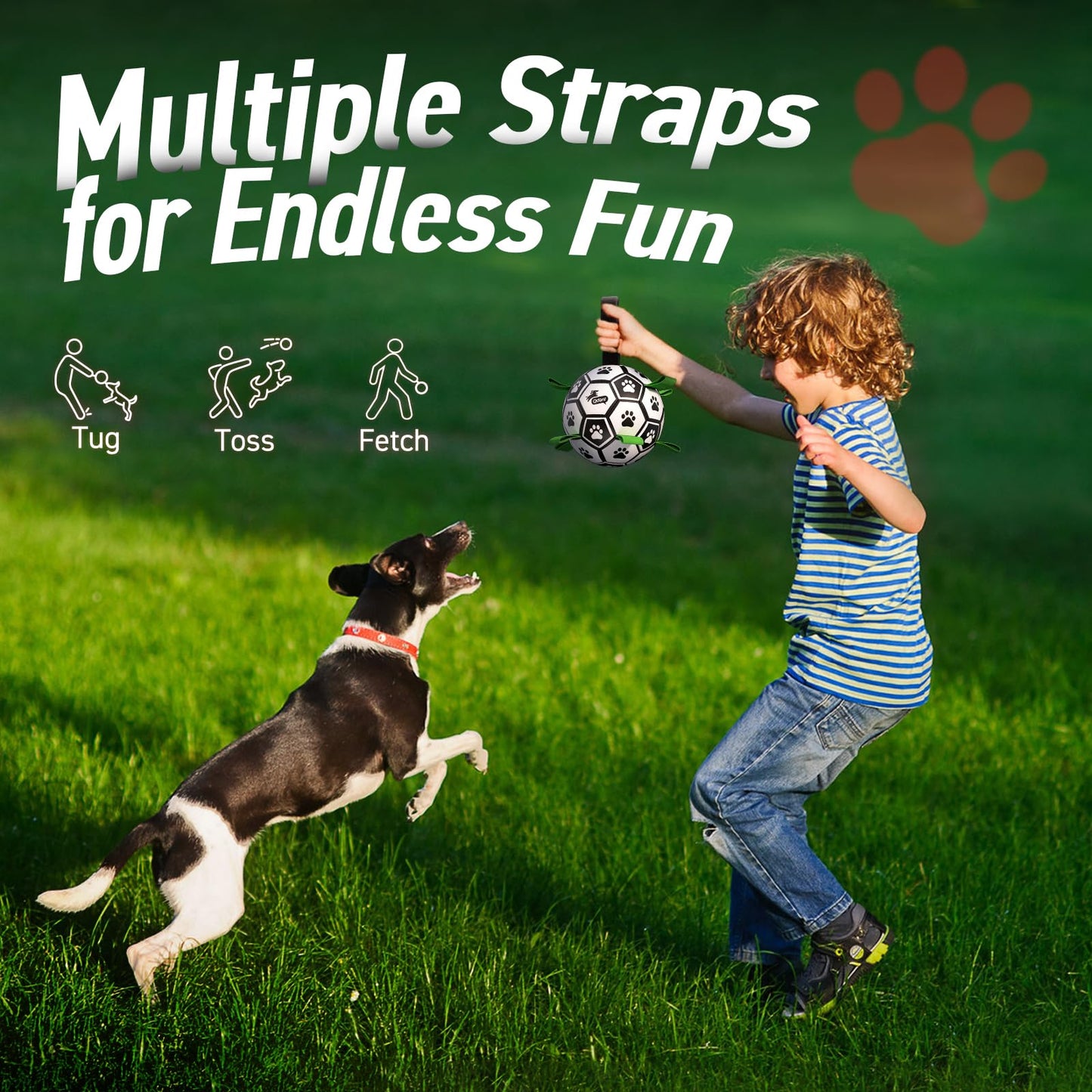 Dog Soccer Ball Toys