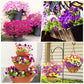 🔥UV Resistant Artificial Petunias Flowers