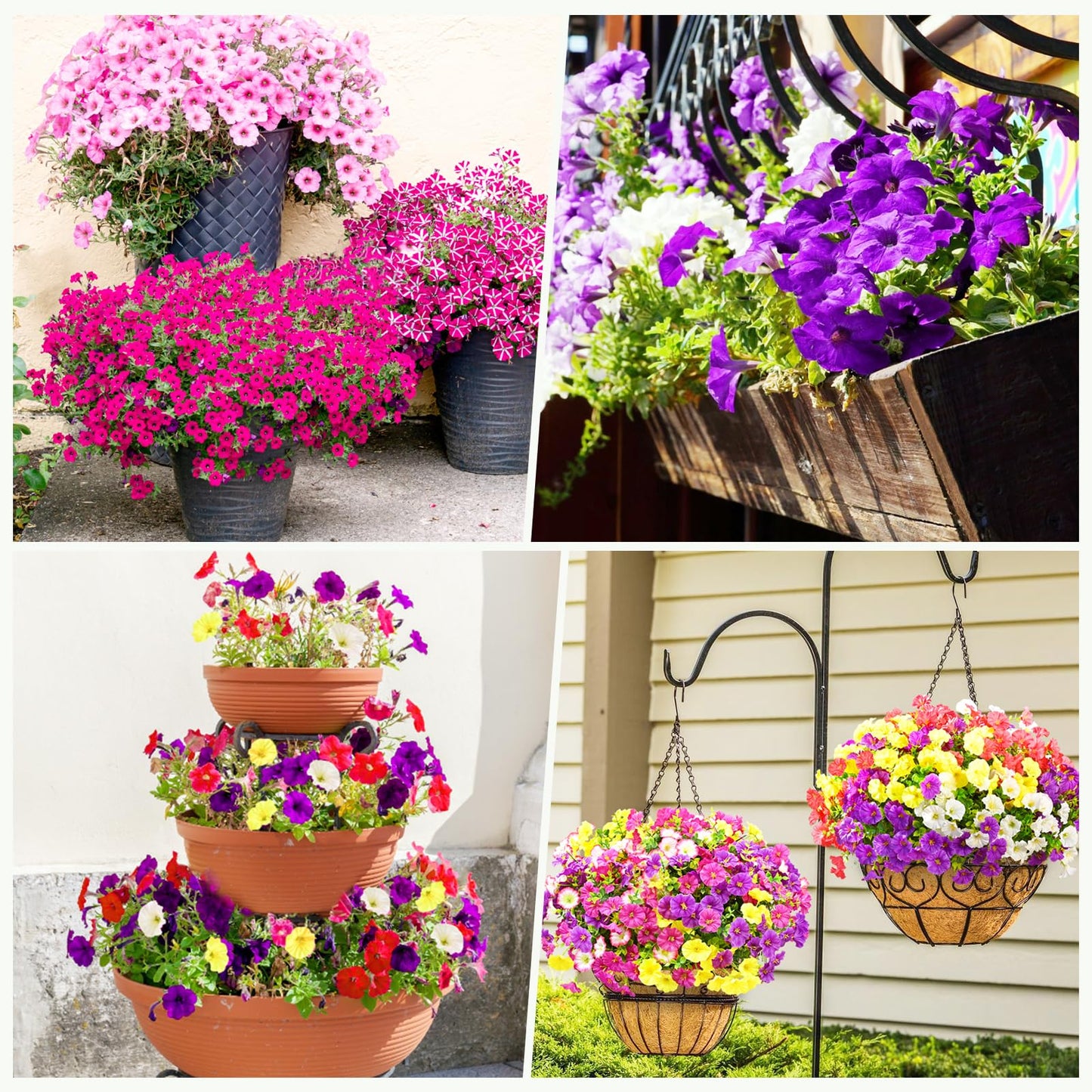 🔥UV Resistant Artificial Petunias Flowers