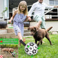 Dog Soccer Ball Toys