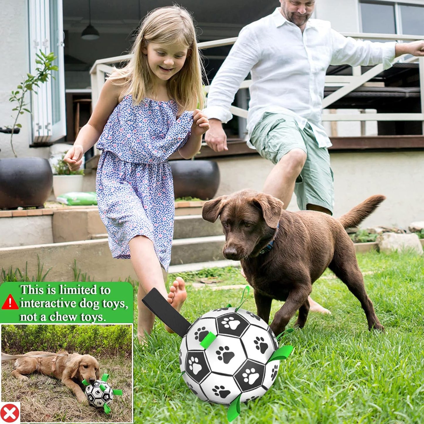 Dog Soccer Ball Toys