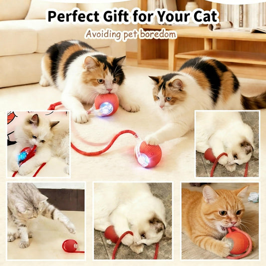 Rechargeable Smart Rolling Cat Ball