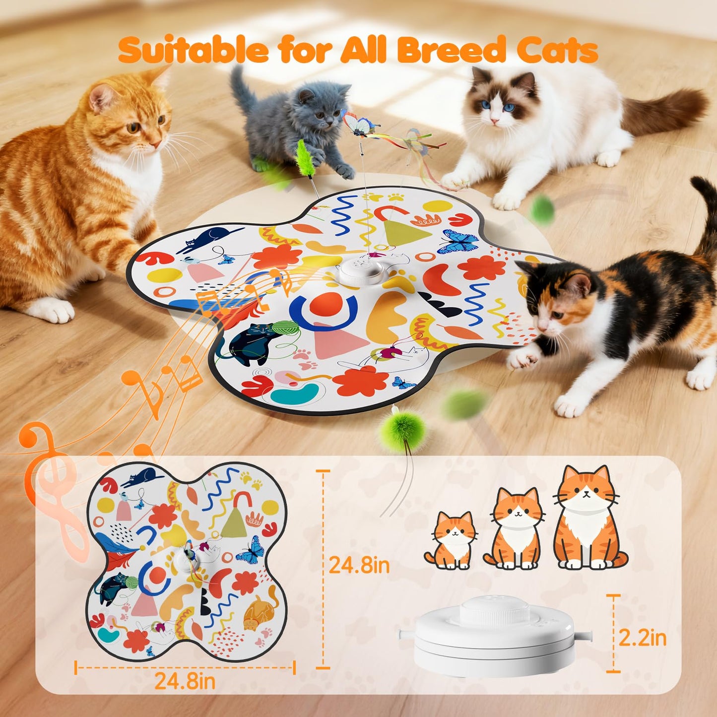 Interactive Cat Toys for Indoor