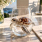 🌊3D Ocean Animal Artisan Glassware Collection