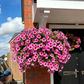 🔥UV Resistant Artificial Petunias Flowers