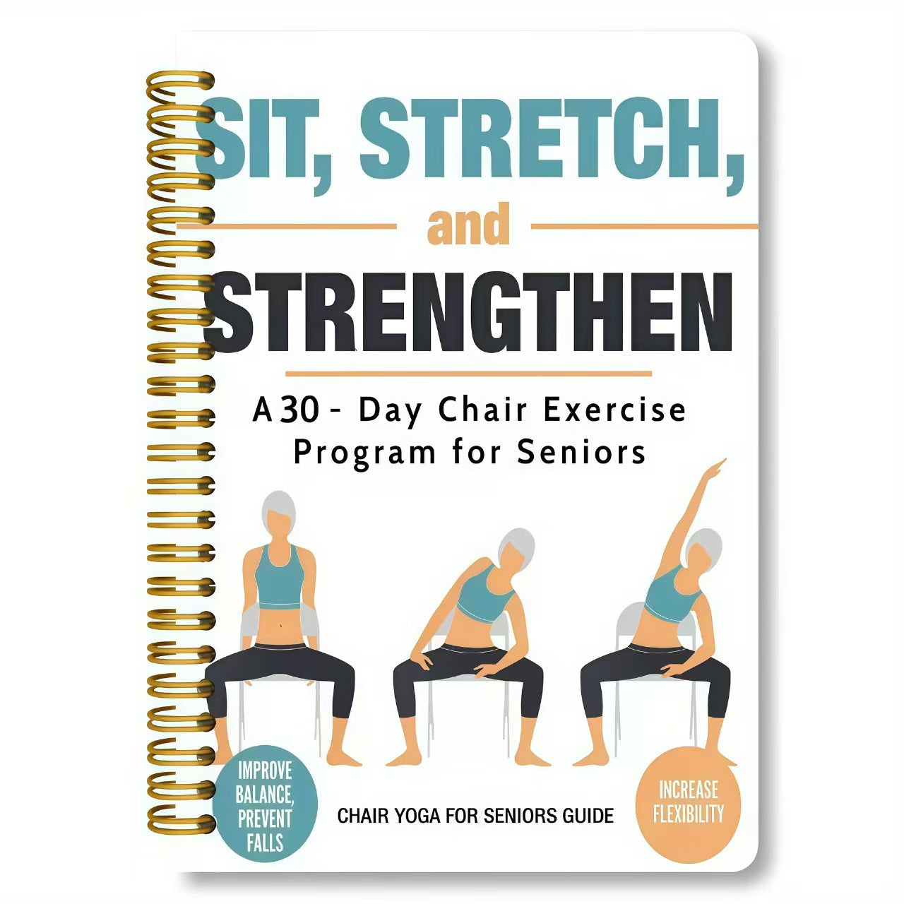 Tai Chi Chair Workout Chart for Seniors – 24 Seated Exercises Poster