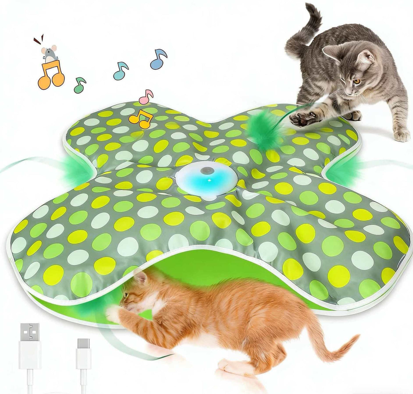 Interactive Cat Toys for Indoor