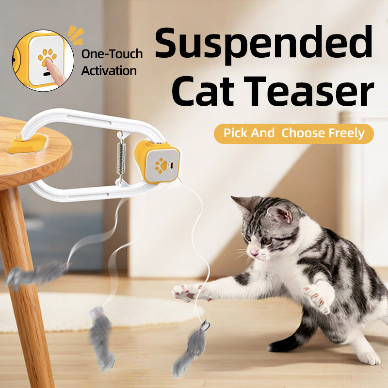 Rechargeable Electric Cat Interactive Door Clip Teaser