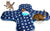 Interactive Cat Toys for Indoor