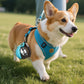 2-in-1 Foldable 304 Stainless Steel Dog Water Bottle