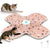 Interactive Cat Toys for Indoor