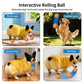 Smart Interactive Dog Balls