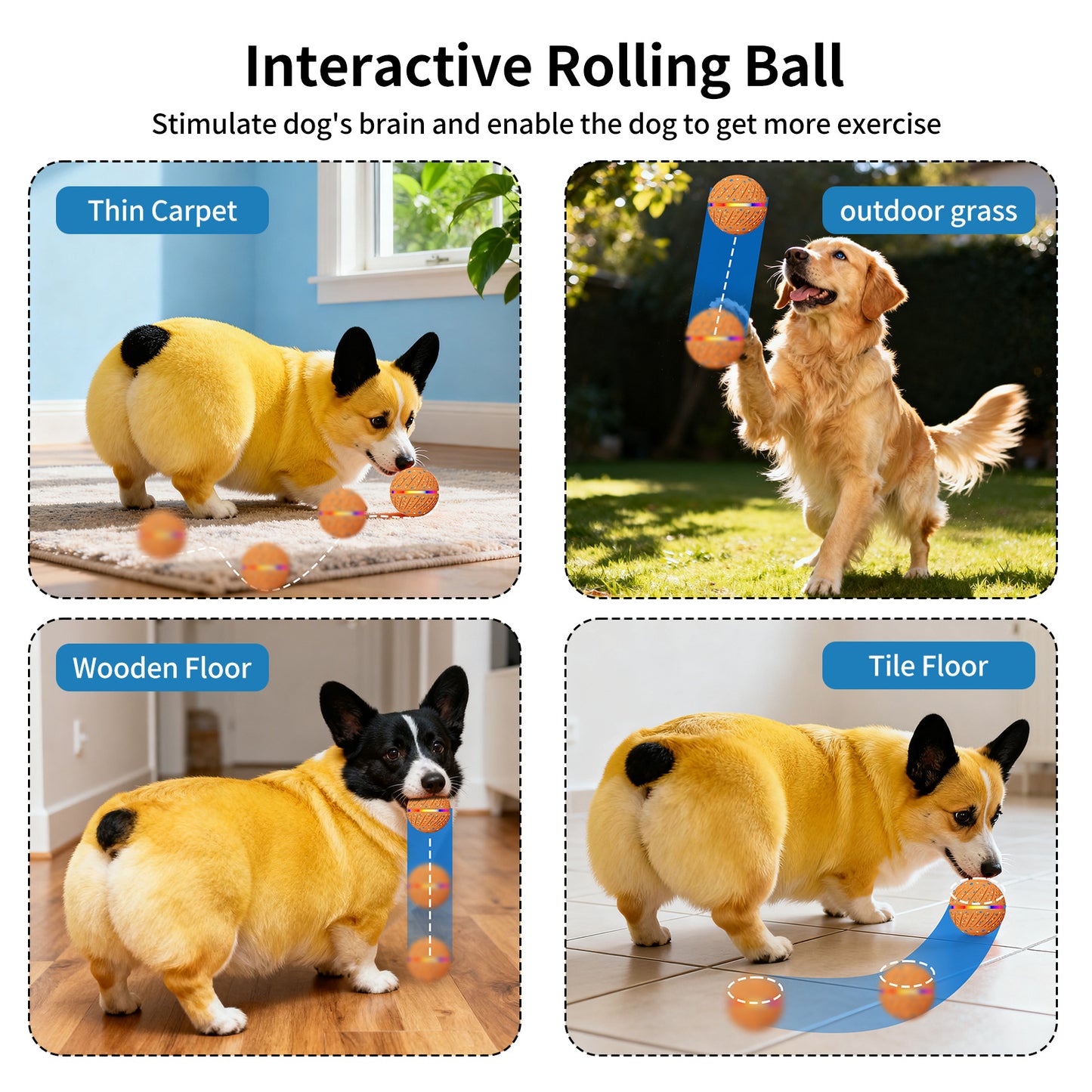 Smart Interactive Dog Balls