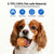 Smart Interactive Dog Balls