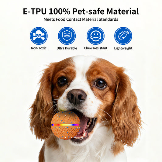 Smart Interactive Dog Balls