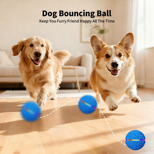 Smart Interactive Dog Balls