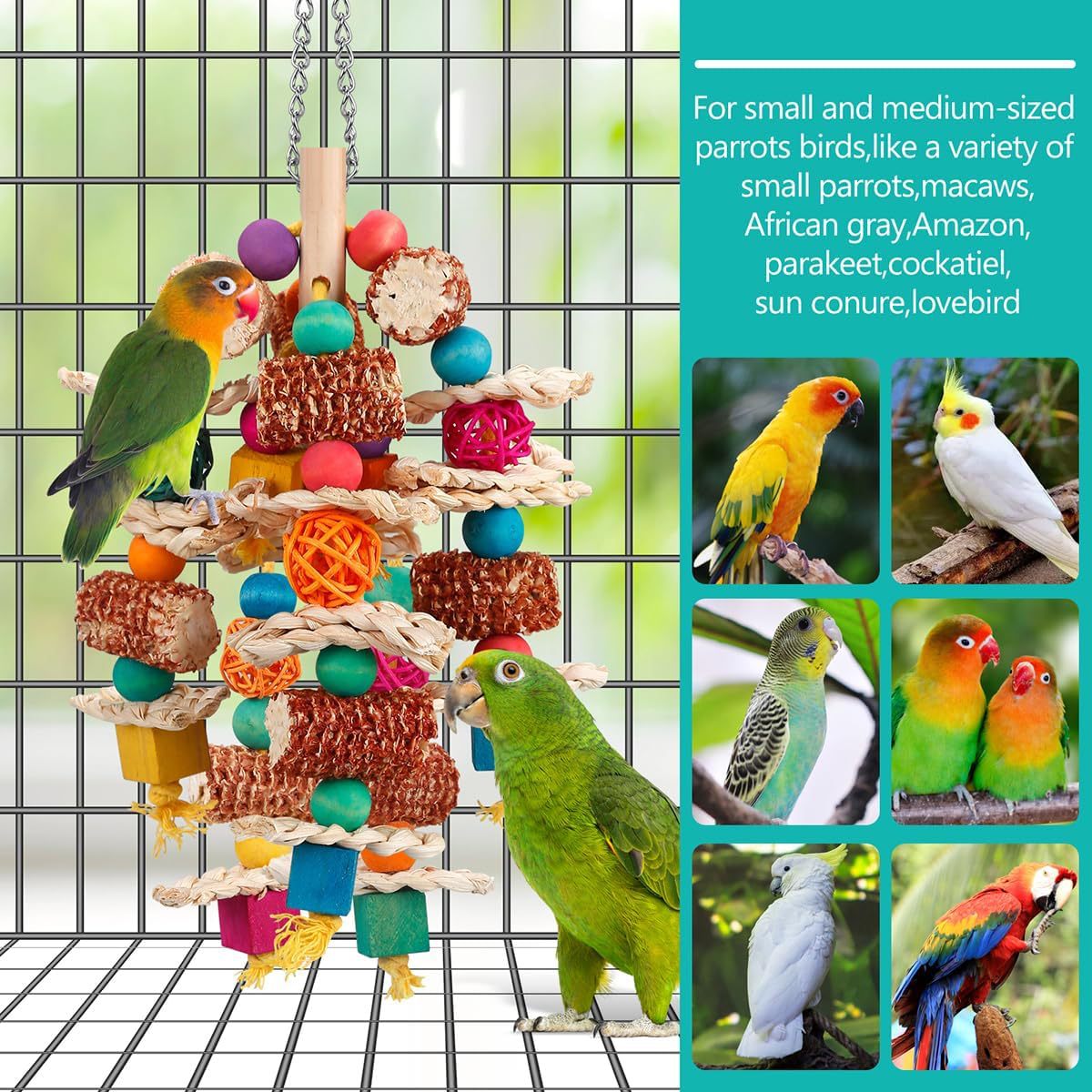 Parrot Bird Natural Corn Cob chew Toys