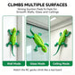 Remote Control Climbing Gecko Toy