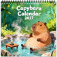 2027 Funny Wall Calendar