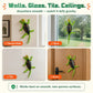 Remote Control Climbing Gecko Toy