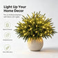 Christmas Enchanted Evergreen Pine