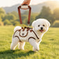 6-in-1 Portable Breathable Pet Carrier Sling & Backpack