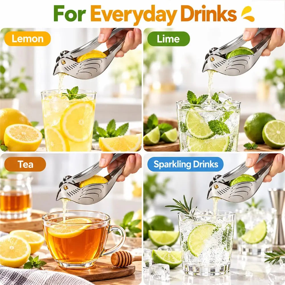 Elegant Bird-Shaped Stainless Steel Manual Juicer (2 Pieces)